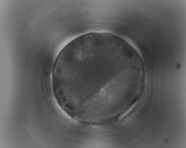 X0000112890959200908281657
