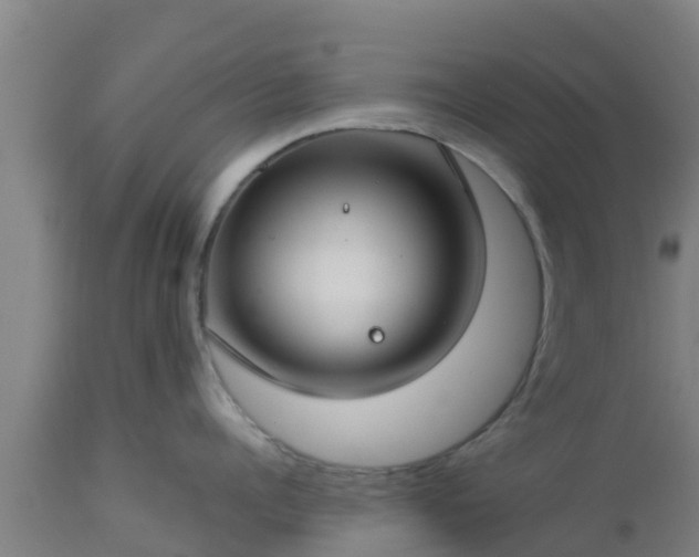 X0000112890960200908281657