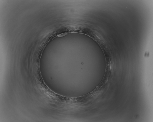X0000112890961200908281656