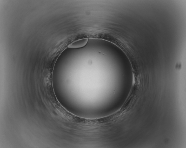 X0000112890964200908281656