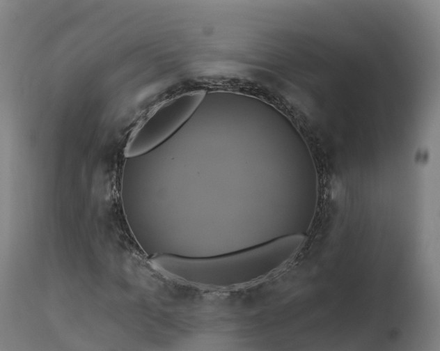 X0000112890965200908281656