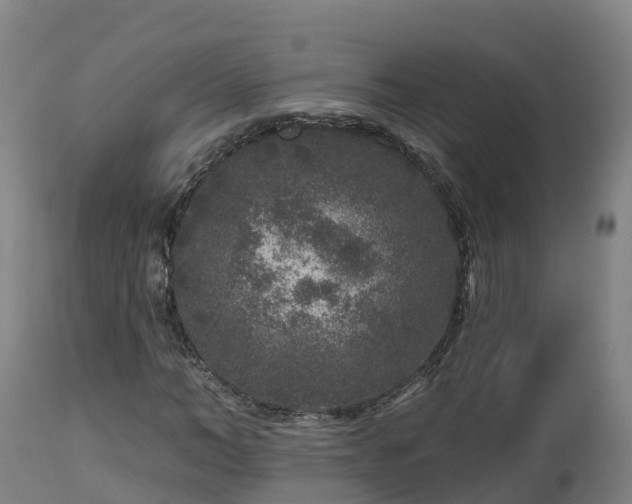 X0000112890966200908281656