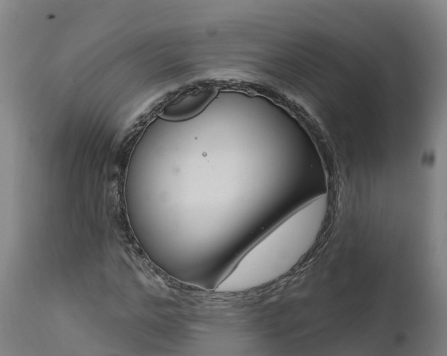 X0000112890968200908281656