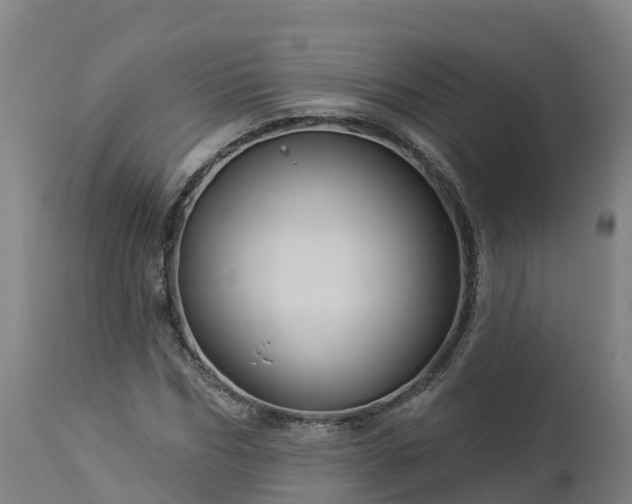 X0000112890970200908281656