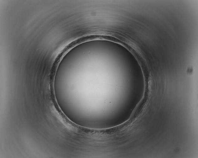 X0000112890972200908281656