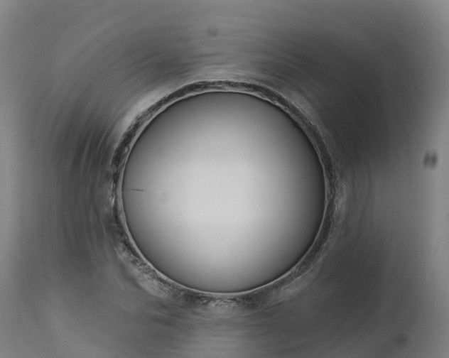 X0000112890974200908281656