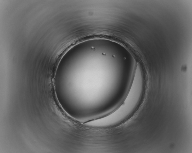 X0000112890977200908281656
