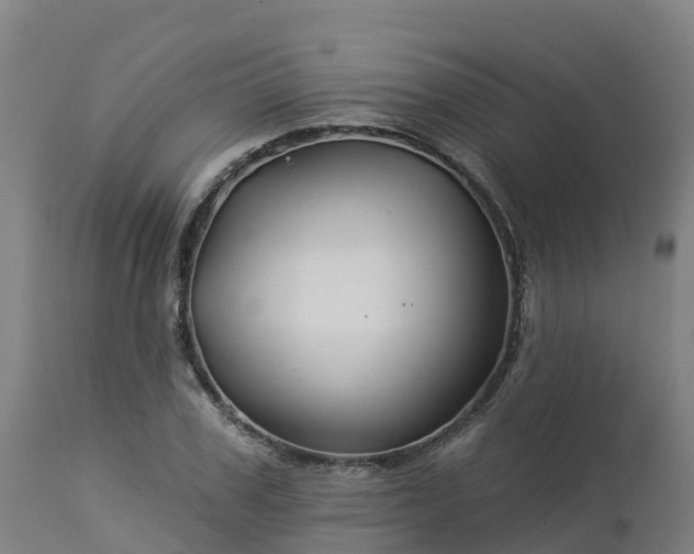 X0000112890979200908281656