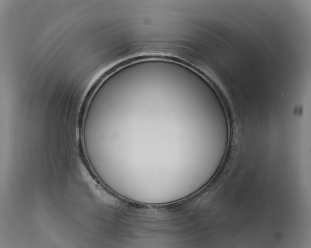 X0000112890980200908281656