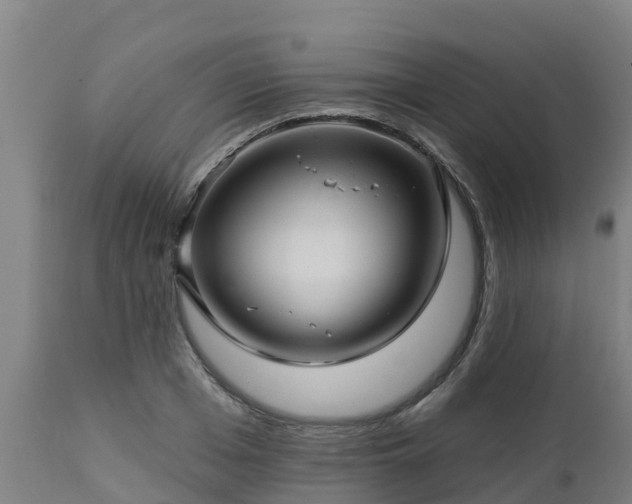 X0000112890985200908281656