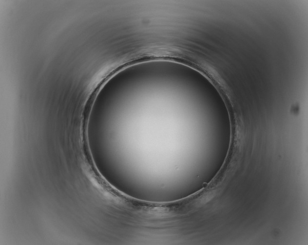 X0000112890986200908281656