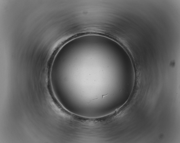 X0000112890987200908281656