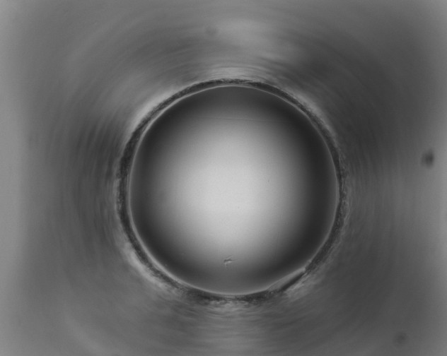 X0000112890991200908281656