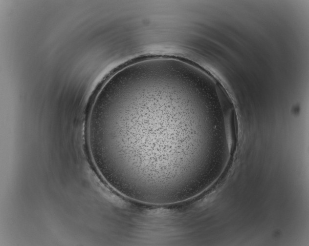 X0000112890992200908281656