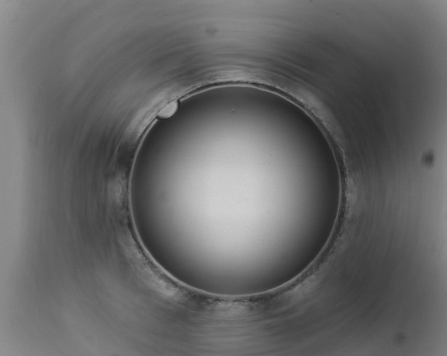 X0000112890993200908281656