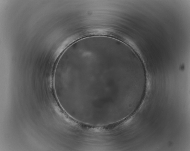 X0000112890994200908281656
