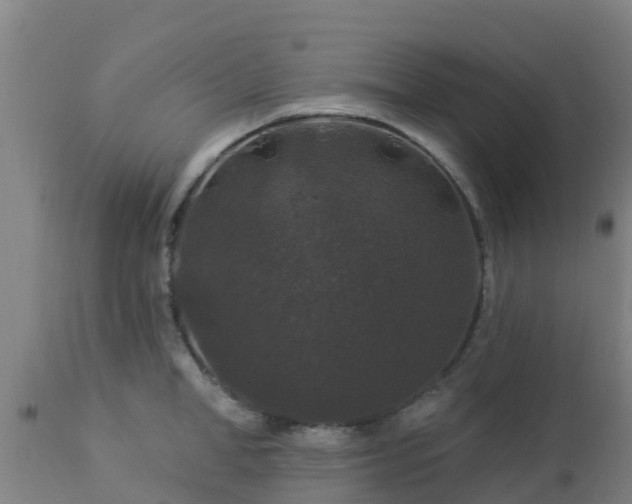 X0000112890998200908281656
