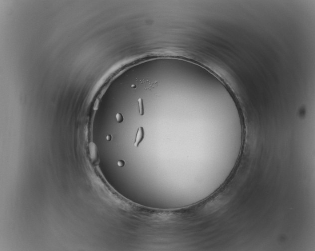 X0000112891000200908281656