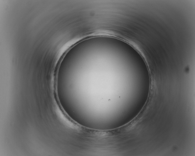X0000112891003200908281656