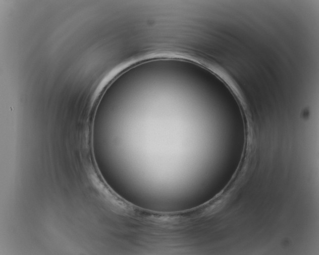 X0000112891004200908281656