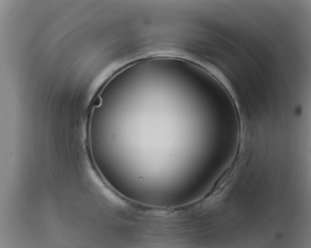 X0000112891005200908281656