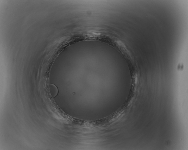 X0000112891009200908281655