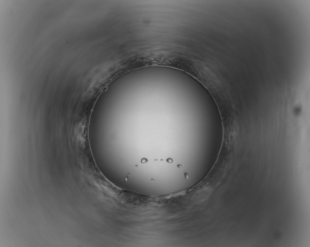 X0000112891010200908281655