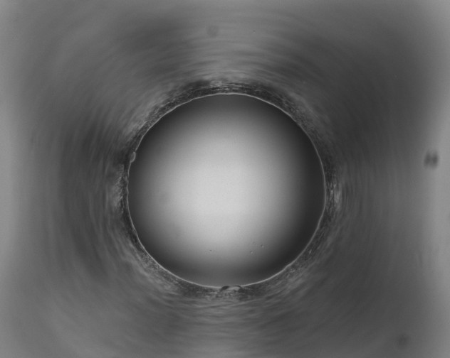 X0000112891012200908281655