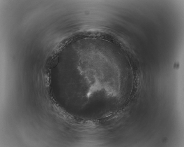 X0000112891013200908281655