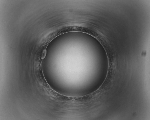 X0000112891014200908281655