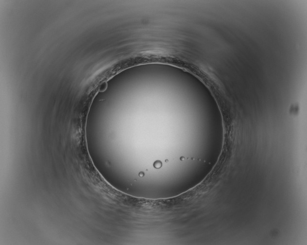X0000112891015200908281655