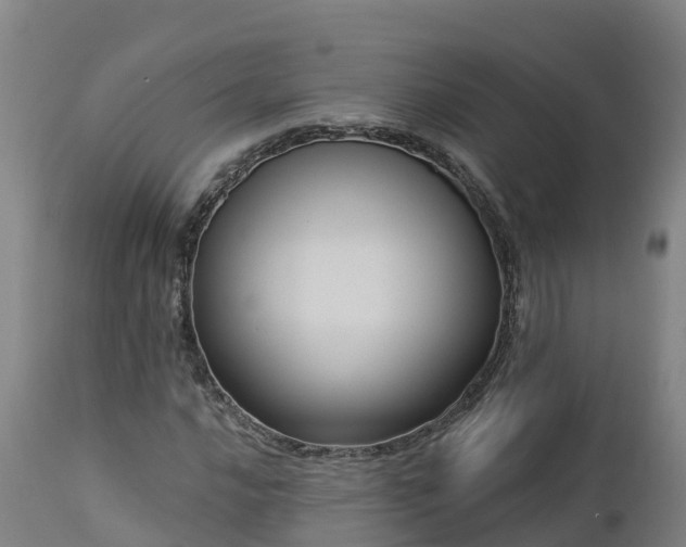 X0000112891016200908281655