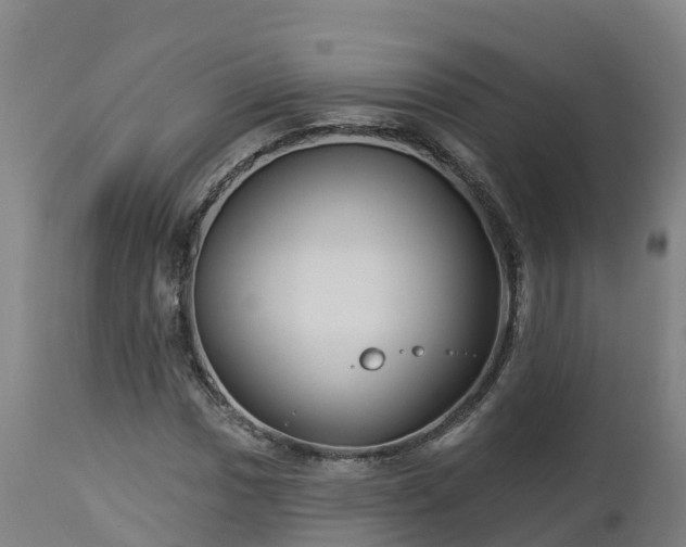 X0000112891017200908281655