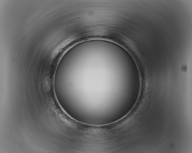 X0000112891018200908281655