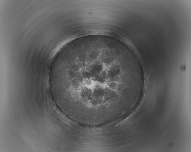 X0000112891019200908281655