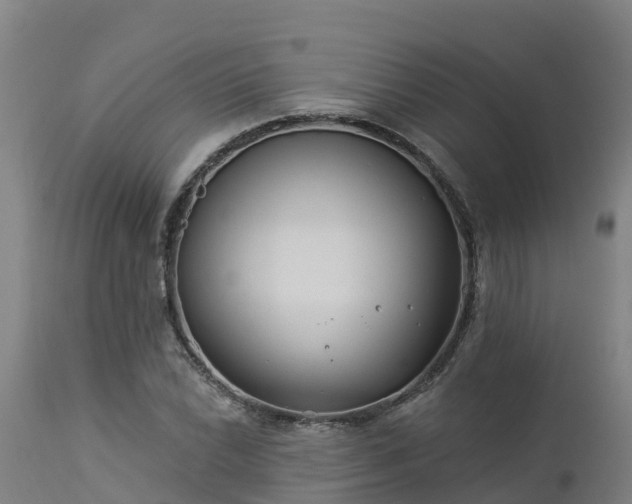 X0000112891022200908281655