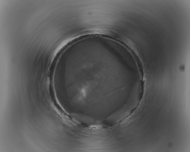 X0000112891024200908281655