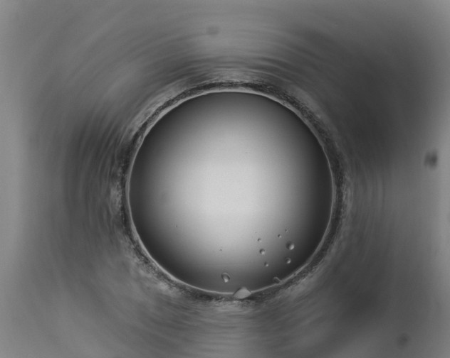 X0000112891025200908281655