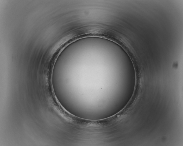 X0000112891026200908281655