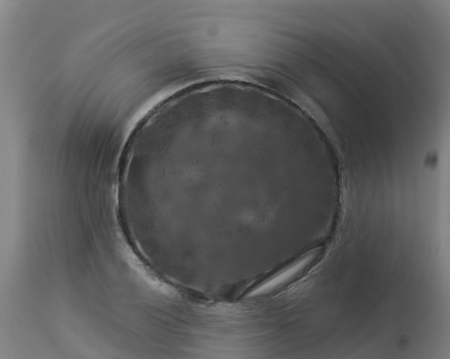 X0000112891028200908281655