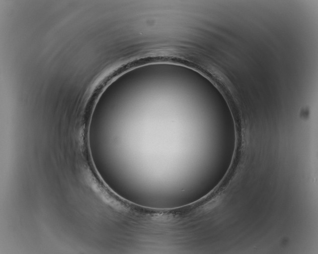 X0000112891029200908281655