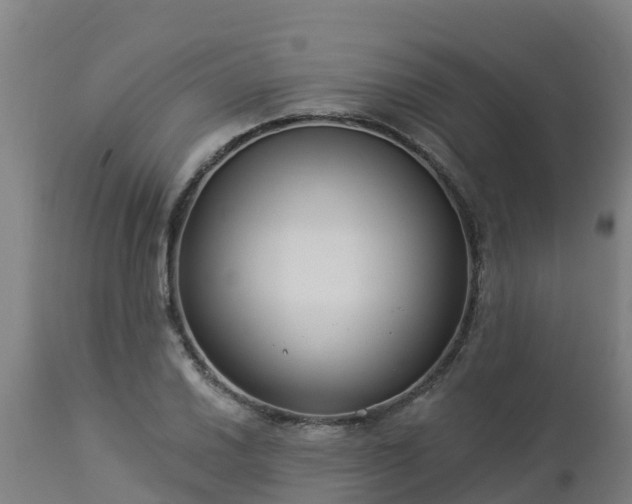 X0000112891030200908281655