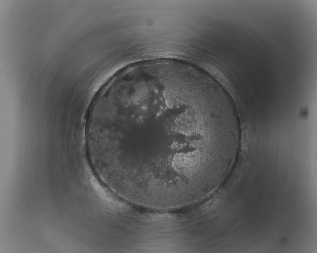 X0000112891031200908281655