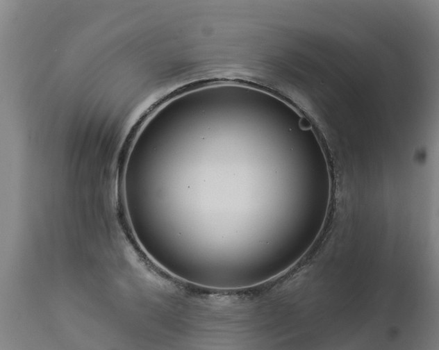 X0000112891032200908281655
