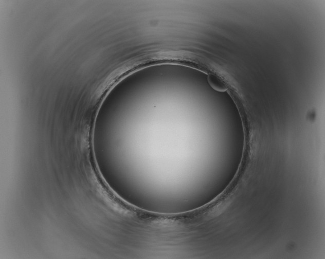 X0000112891033200908281655