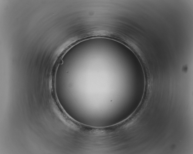 X0000112891034200908281655