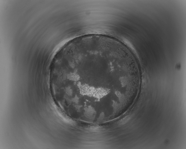 X0000112891035200908281655