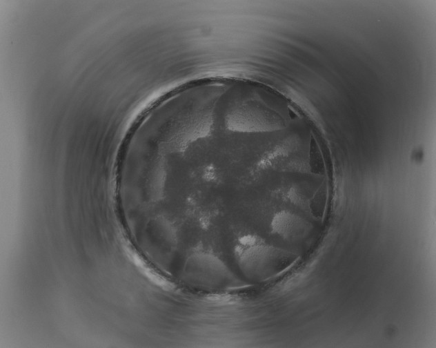 X0000112891037200908281655
