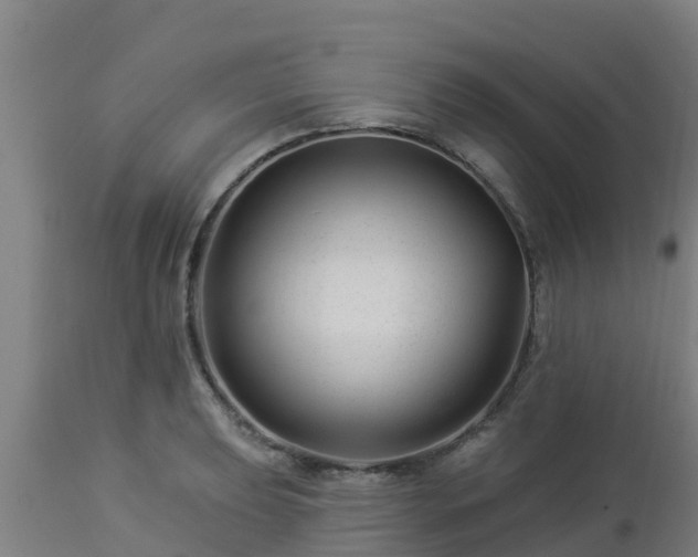 X0000112891039200908281655