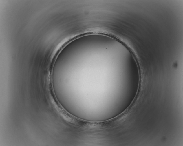 X0000112891040200908281655